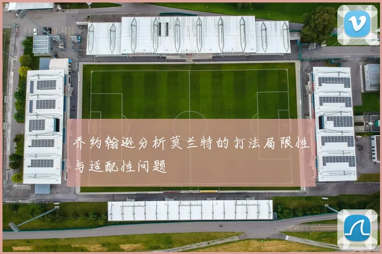 乔约翰逊分析莫兰特的打法局限性与适配性问题